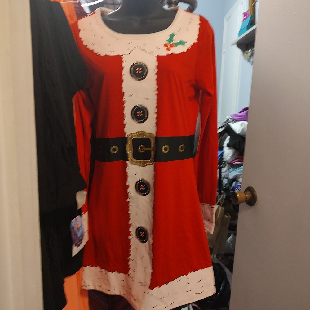 Ladies Mrs. Claus dress